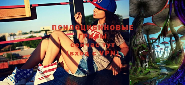 дмт Снежинск