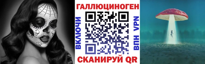 Купить где  Тихвин  Псилоцибиновые грибы Psilocybe 